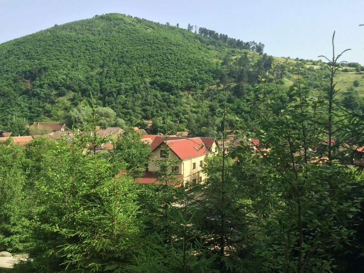 Pensiunea Domnescu Sălişte エクステリア 写真
